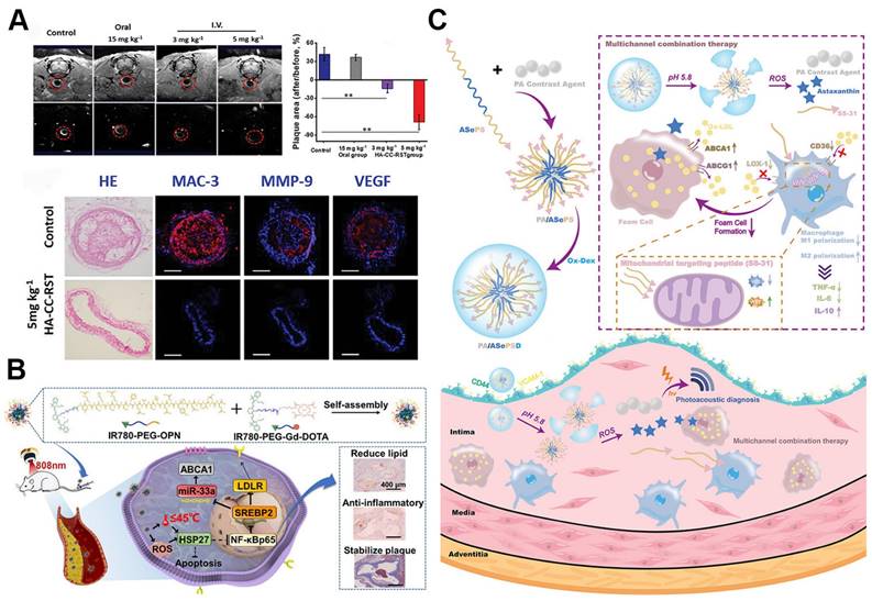 Theranostics Image