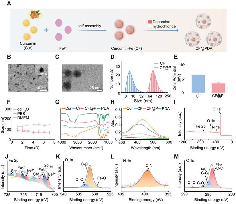 Theranostics Image