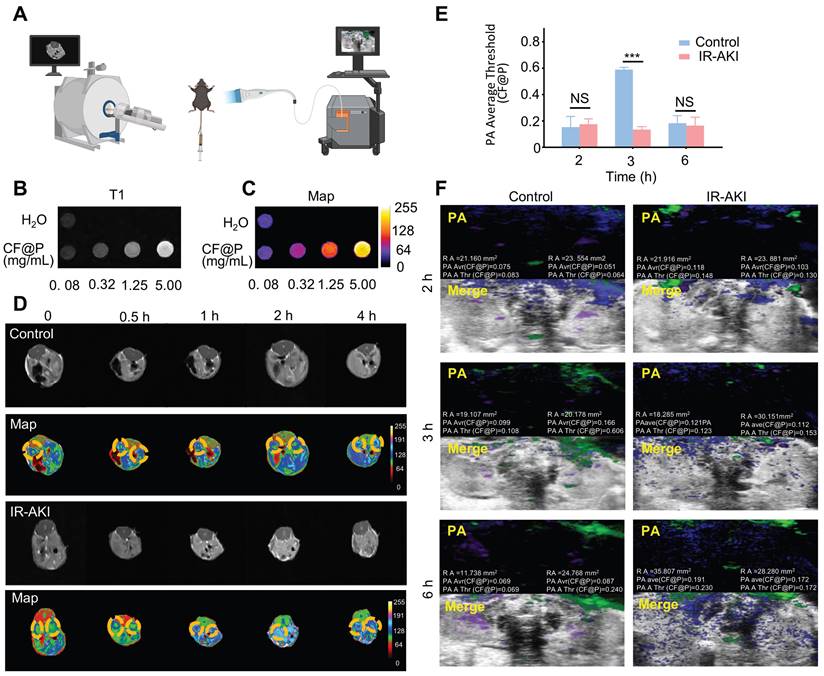 Theranostics Image