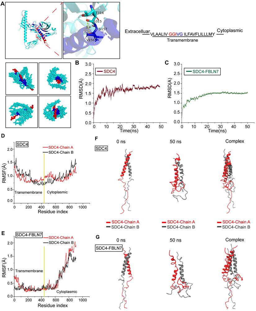 Theranostics Image