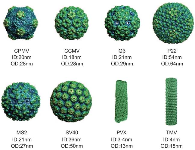 Theranostics Image