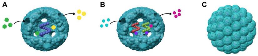 Theranostics Image