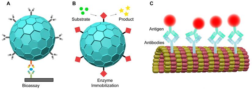 Theranostics Image