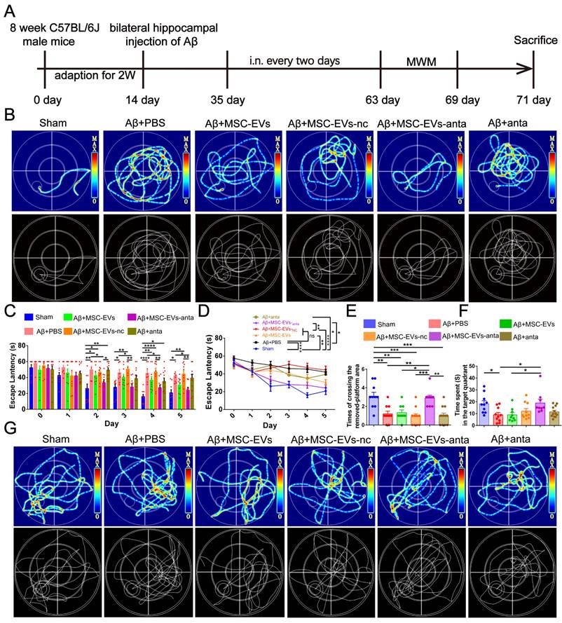 Theranostics Image