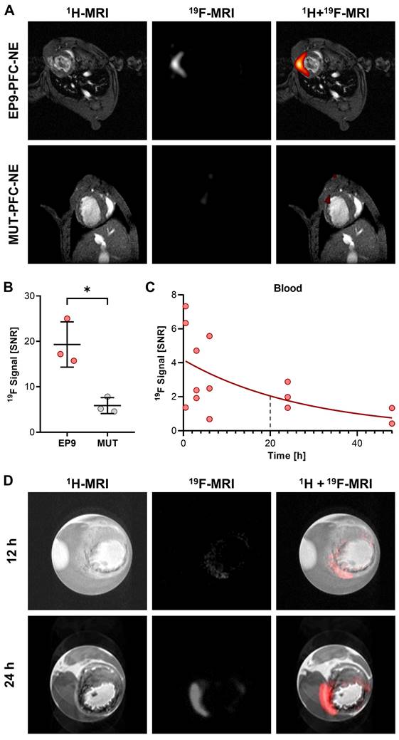 Theranostics Image