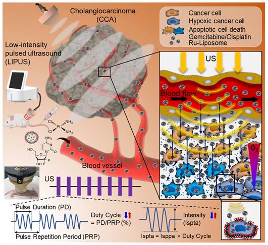 Theranostics Image