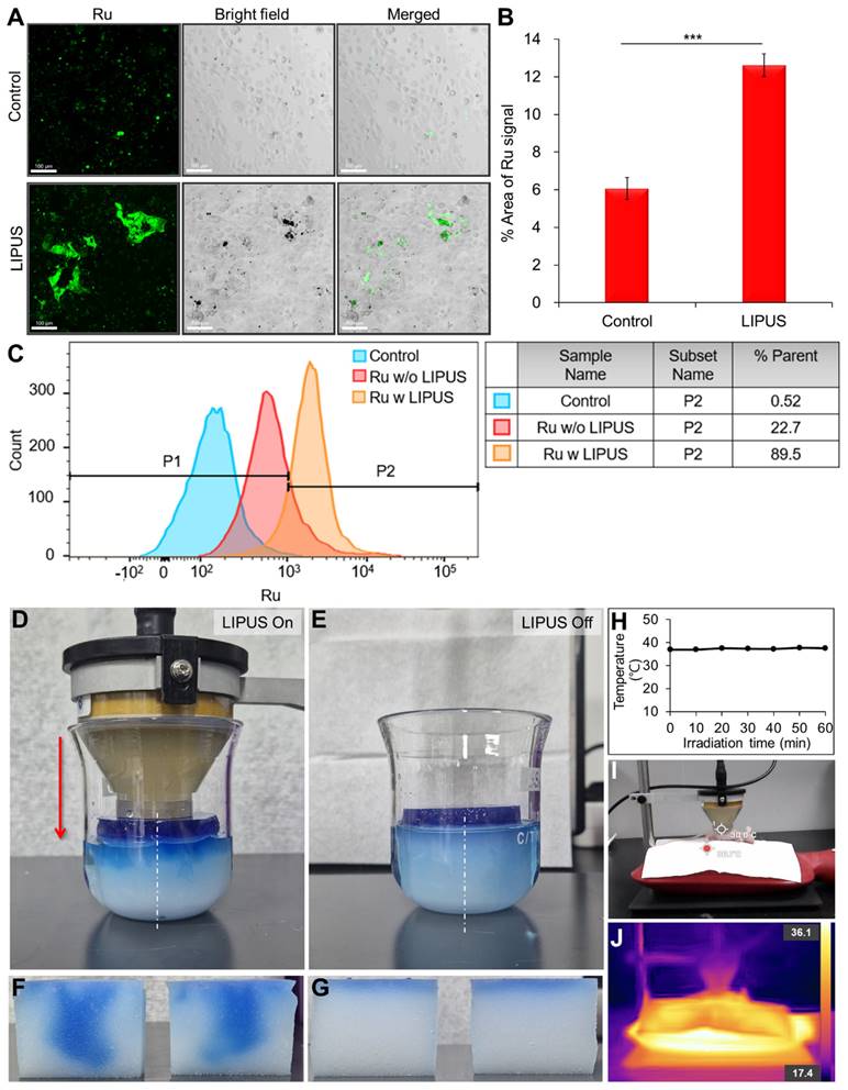 Theranostics Image