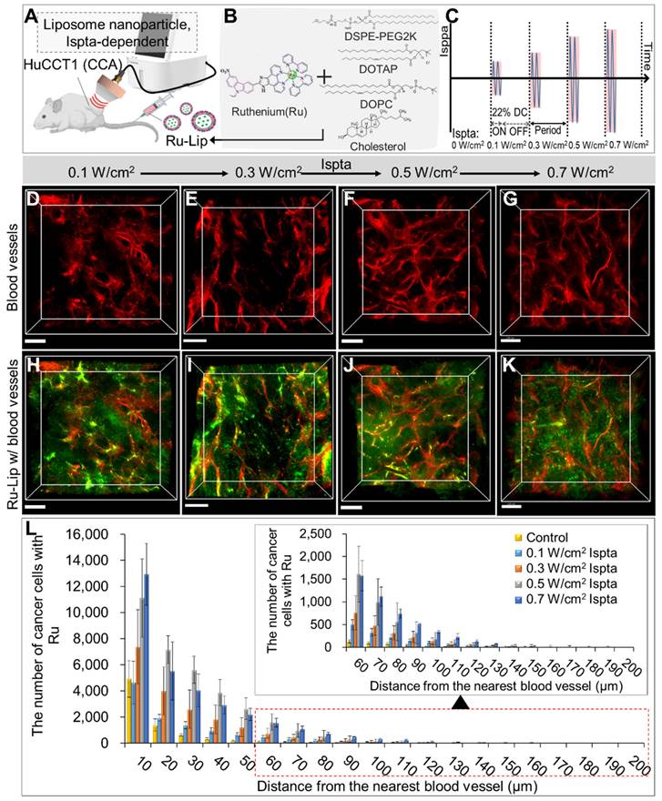 Theranostics Image