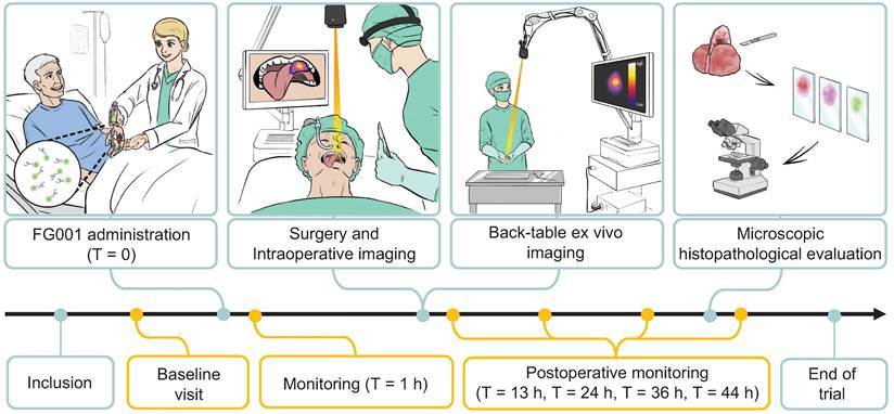 Theranostics Image