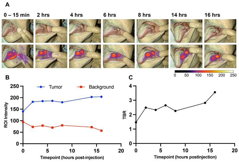 Theranostics Image