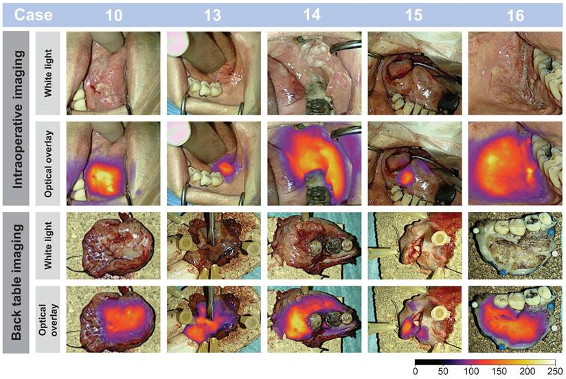 Theranostics Image