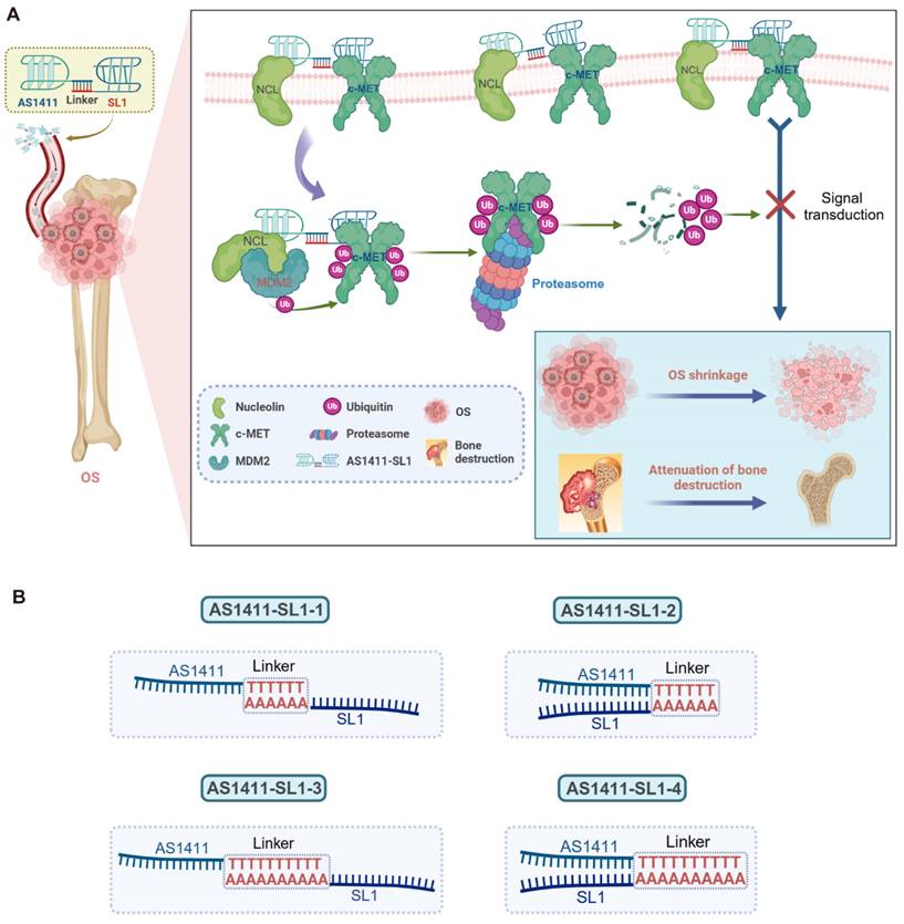 Theranostics Image