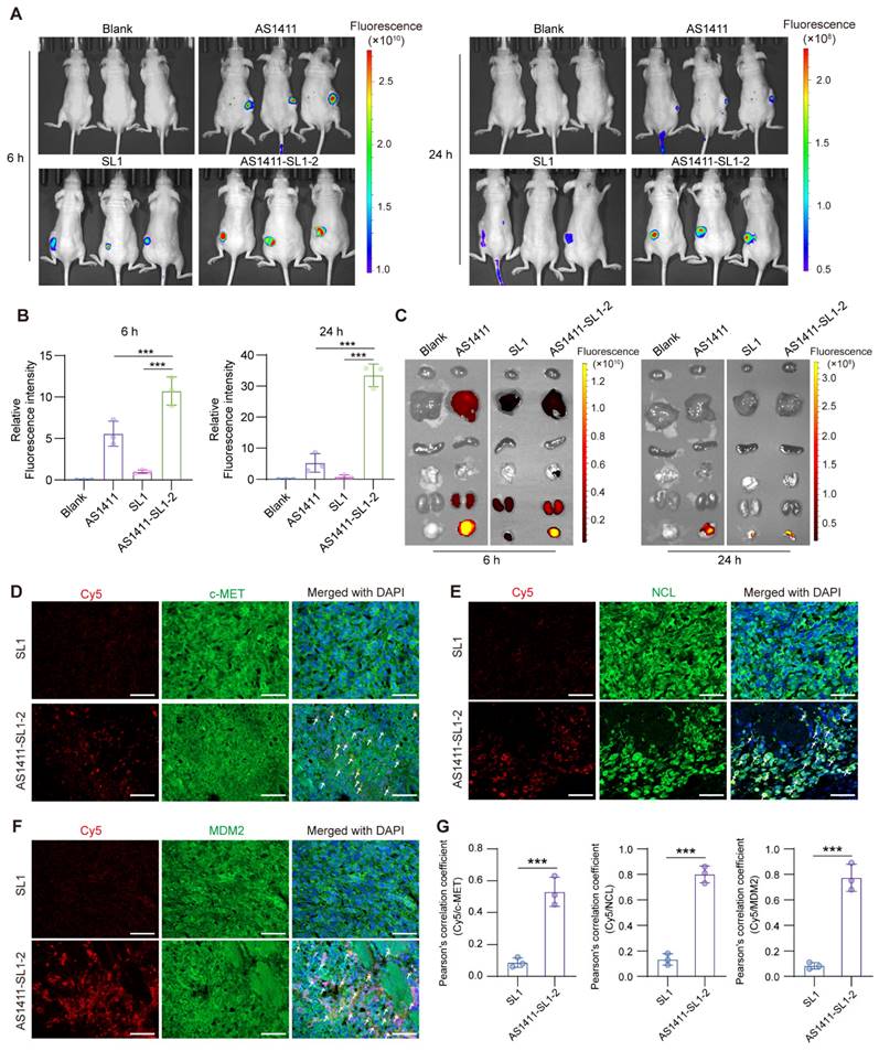 Theranostics Image