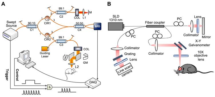 Theranostics Image