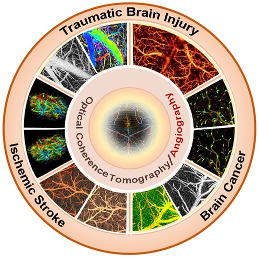 Theranostics Image