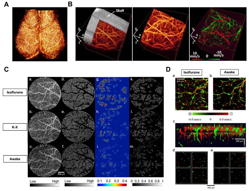 Theranostics Image