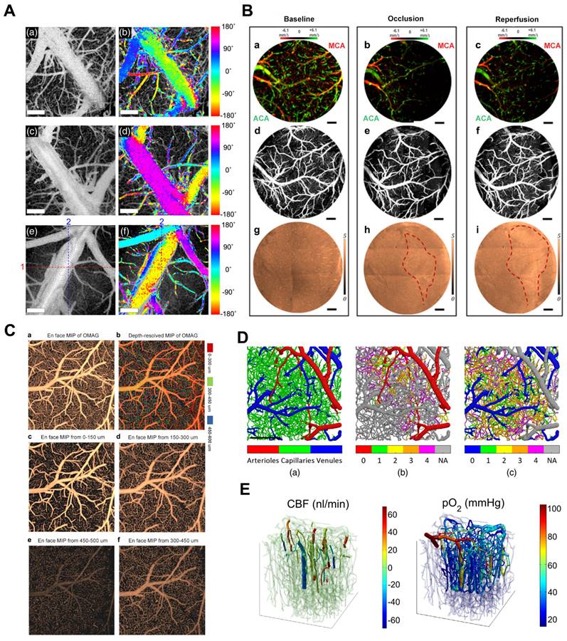 Theranostics Image