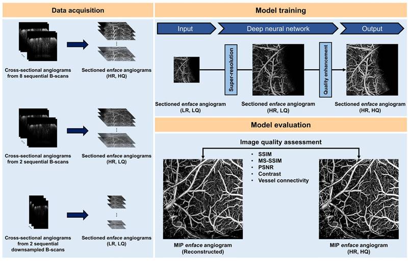 Theranostics Image