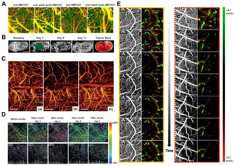 Theranostics Image