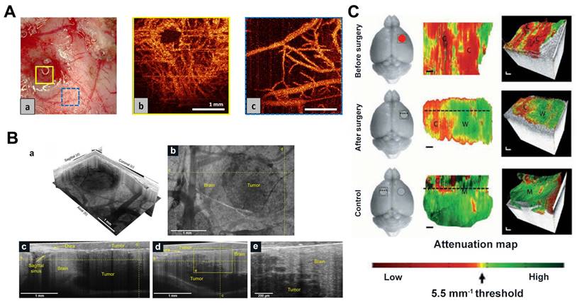 Theranostics Image