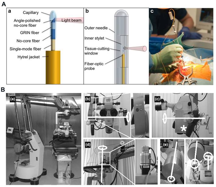 Theranostics Image