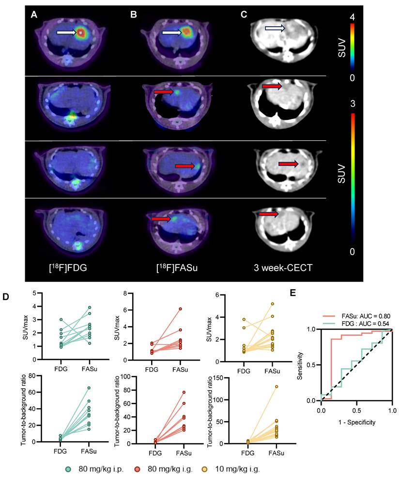 Theranostics Image