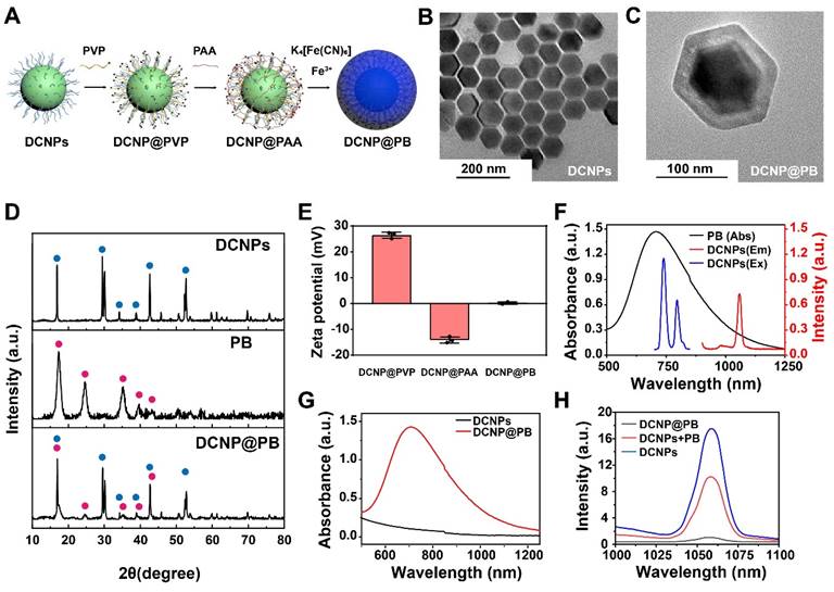 Theranostics Image