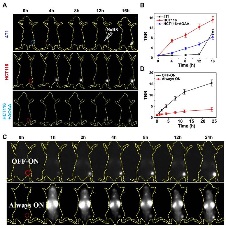 Theranostics Image