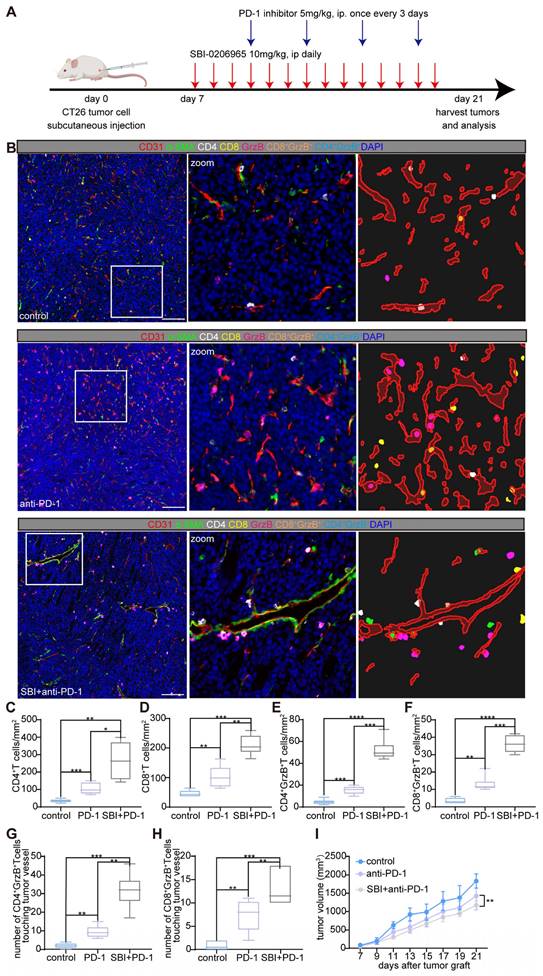 Theranostics Image