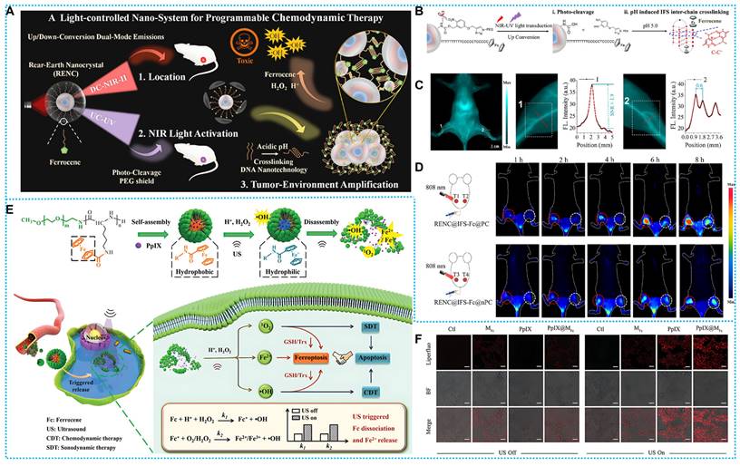 Theranostics Image