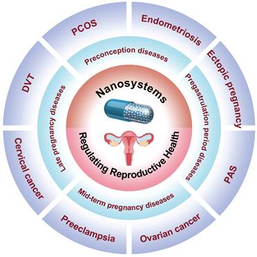 Theranostics Image