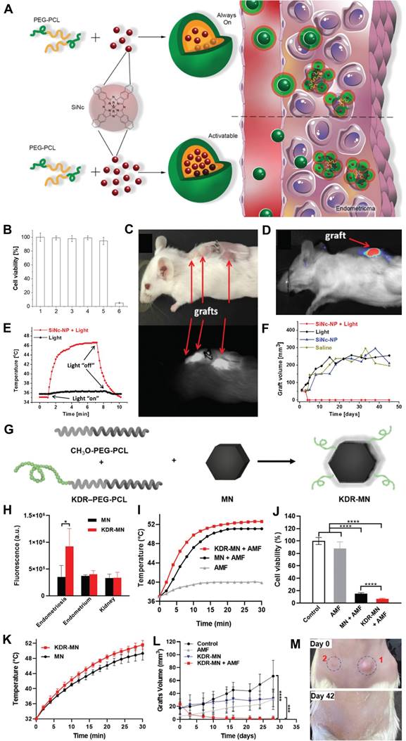 Theranostics Image