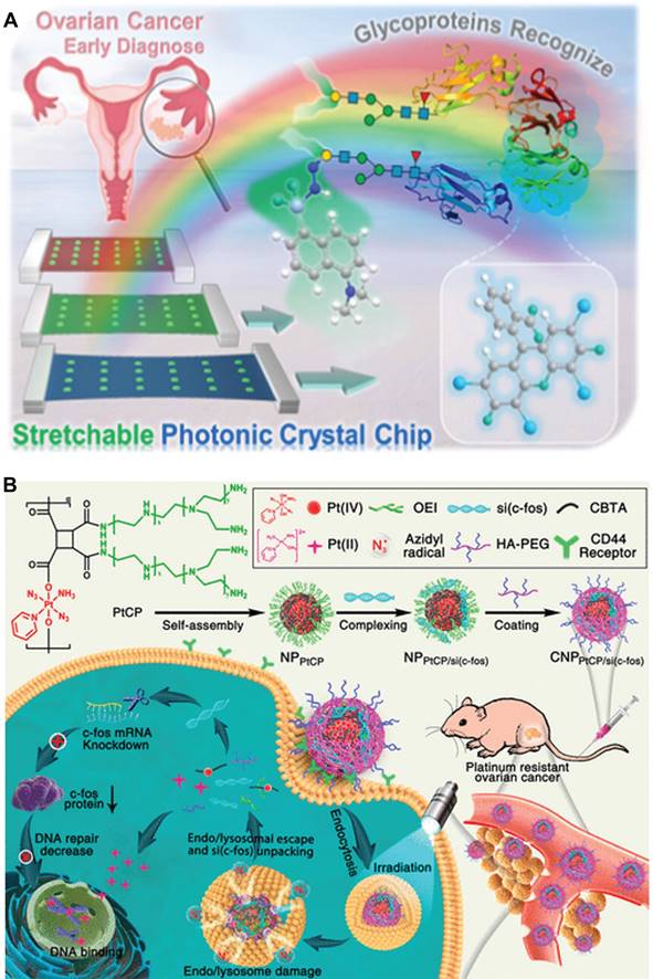 Theranostics Image