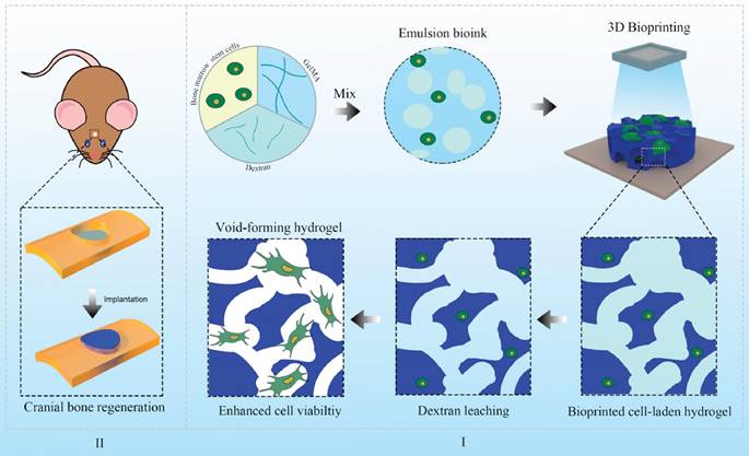 Theranostics Image