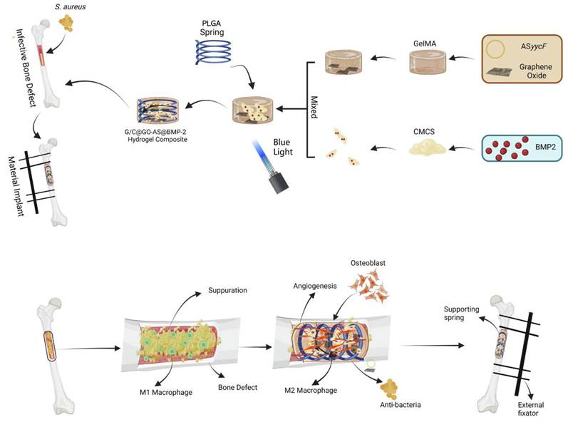 Theranostics Image