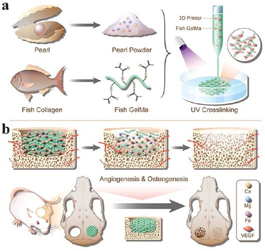 Theranostics Image