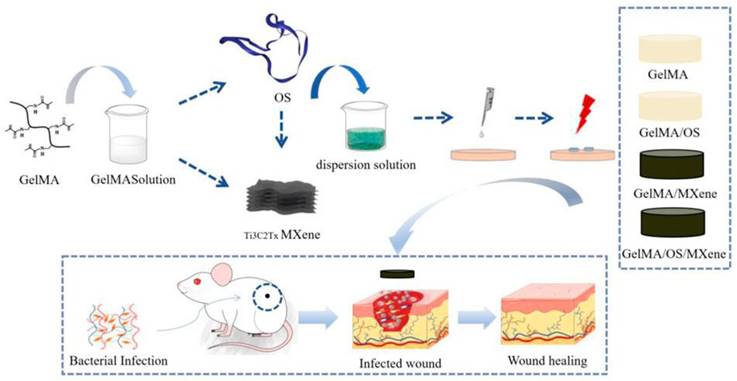 Theranostics Image