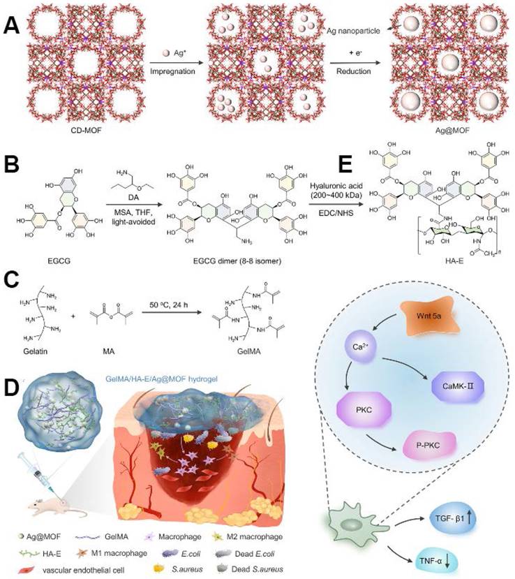 Theranostics Image