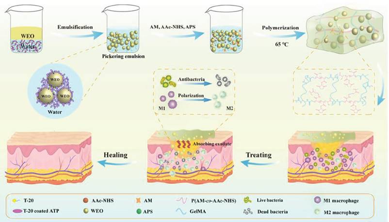 Theranostics Image