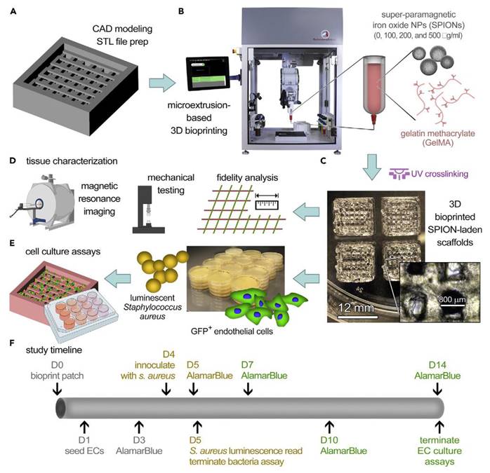 Theranostics Image