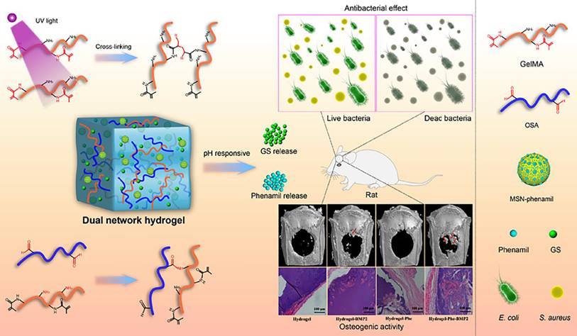 Theranostics Image