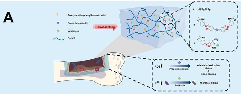 Theranostics Image