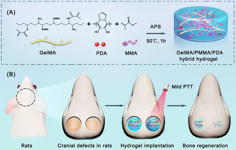 Theranostics Image