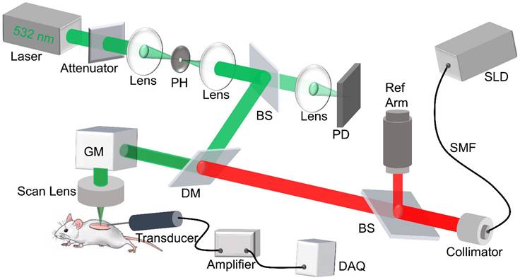 Theranostics Image