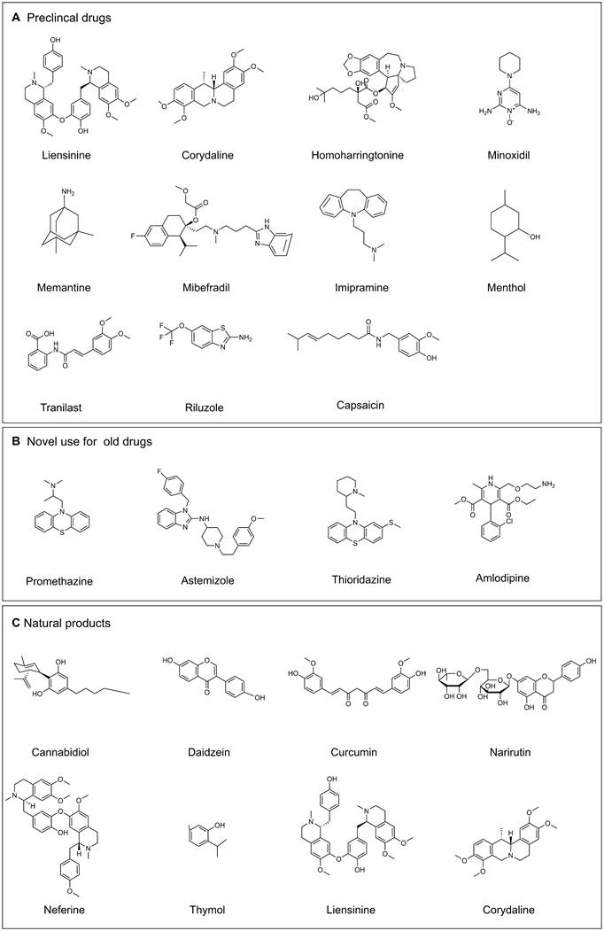 Theranostics Image