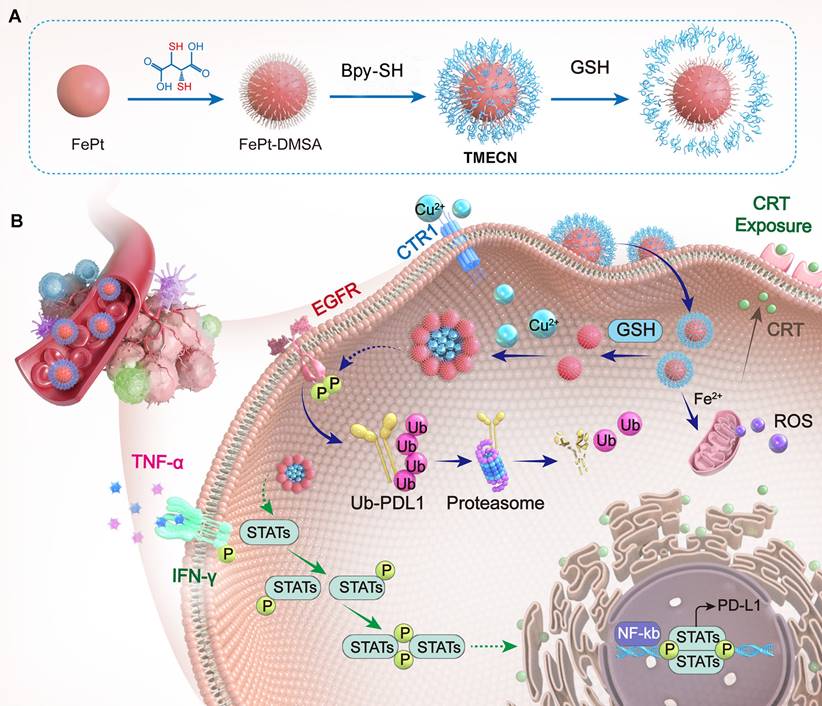 Theranostics Image