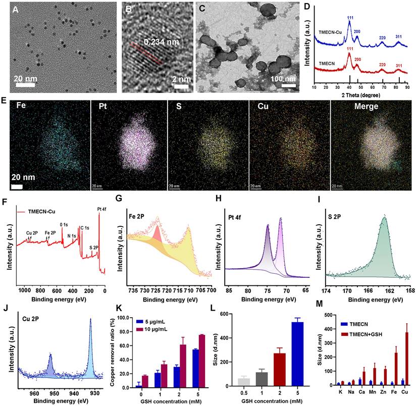 Theranostics Image