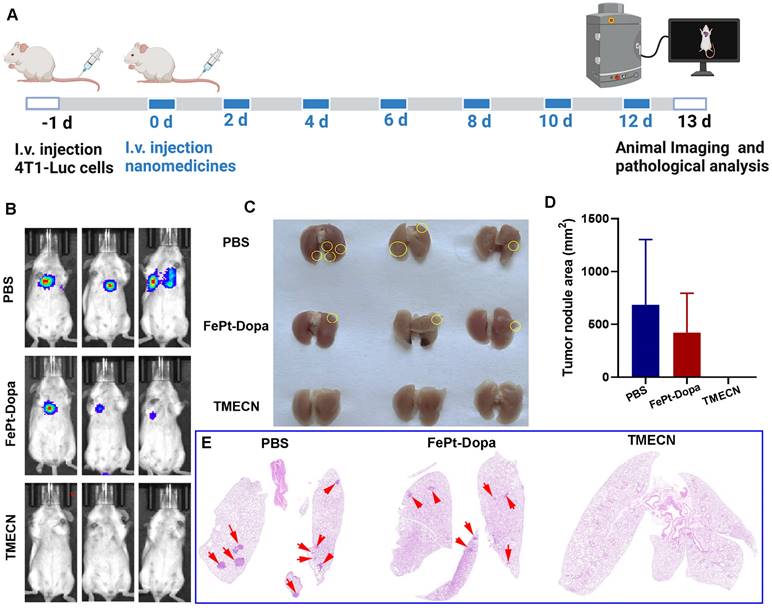 Theranostics Image