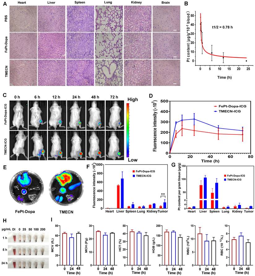 Theranostics Image