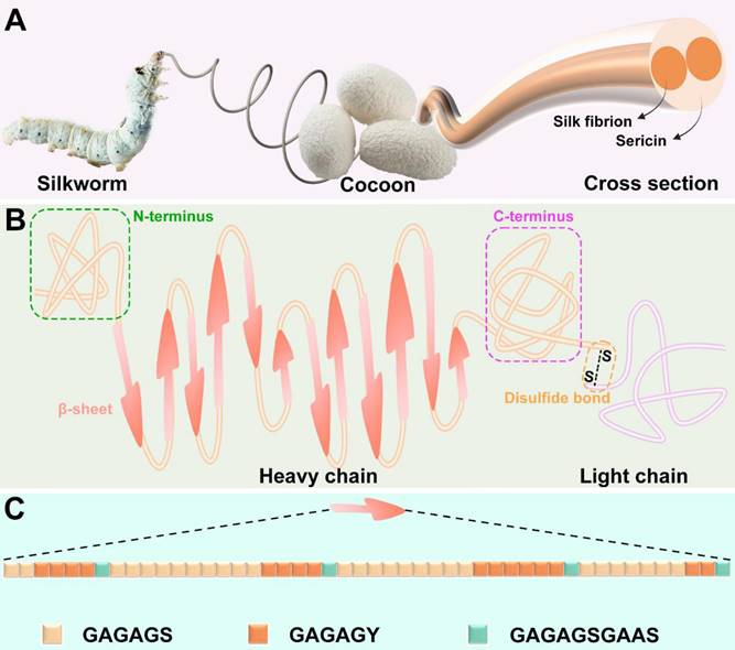 Theranostics Image